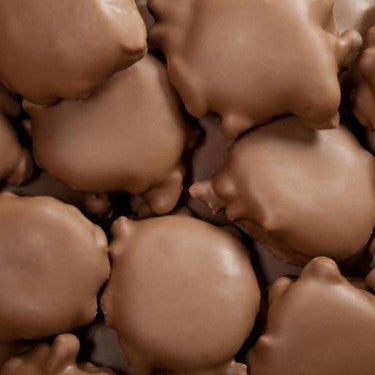 Milk Chocolate Caramel Pecan Patties (Minis)